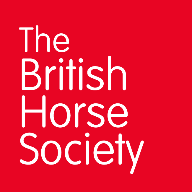 Talks And Events For Horse Owners About Different Aspects Of Equine ...